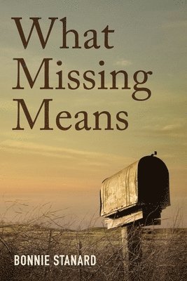 bokomslag What Missing Means