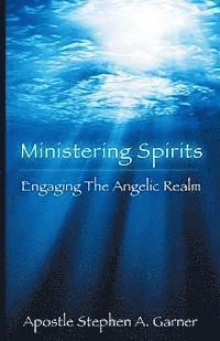 bokomslag Ministering Spirits: Engaging the Angelic Realm