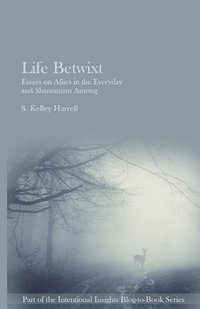 bokomslag Life Betwixt: Essays on Allies in the Everyday and Shamanism Among