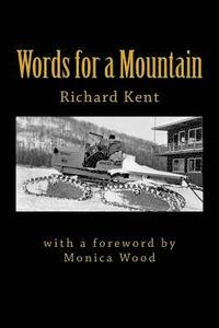 bokomslag Words for a Mountain