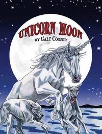 bokomslag Unicorn Moon