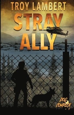 Troy Lambert - Stray Ally, Häftad