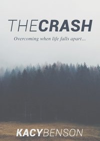 bokomslag The Crash