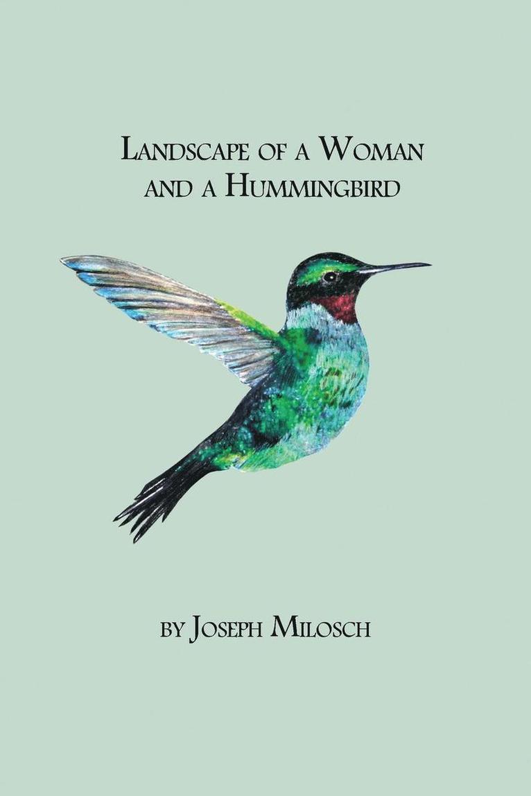 Landscape of a Woman and a Hummingbird 1