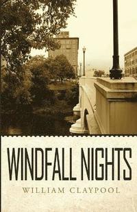 bokomslag Windfall Nights