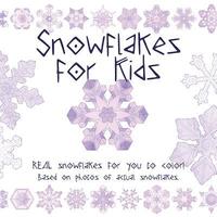 bokomslag Snowflake for Kids