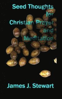 bokomslag Seed Thoughts for Christian Prayer and Meditation