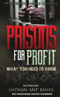 bokomslag Prisons for Profit