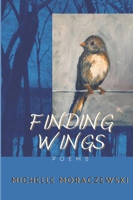 Finding Wings 1