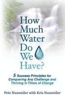 bokomslag How Much Water Do We Have: 5 Success Principles for Conquering Any Challenge and Thriving in Times of Change