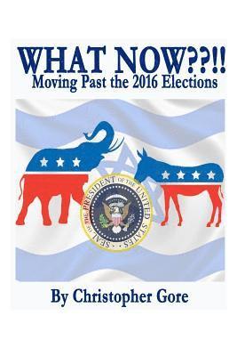 bokomslag What Now !!: Moving Past the Election of 2016