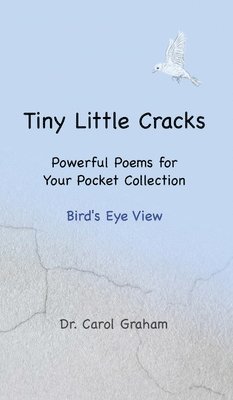 Carol Graham, Dr. Carol Graham - Tiny Little Cracks, Inbunden