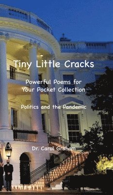 Tiny Little Cracks 1