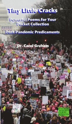 Carol J Graham, Carol J. Graham, Dr. Carol J. Graham - Tiny Little Cracks, Inbunden