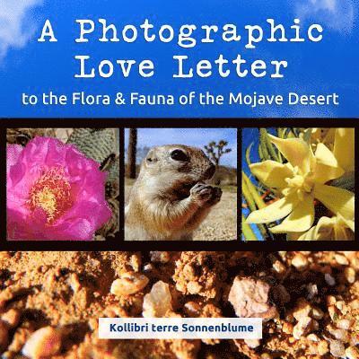 A Photographic Love Letter to the Flora and Fauna of the Mojave Desert 1