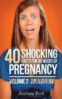 bokomslag 40 Shocking Facts for 40 Weeks of Pregnancy - Volume 2