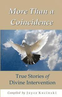 bokomslag More Than a Coincidence: True Stories of Divine Intervention