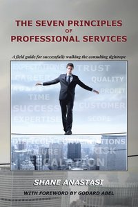 bokomslag The Seven Principles of Professional Services