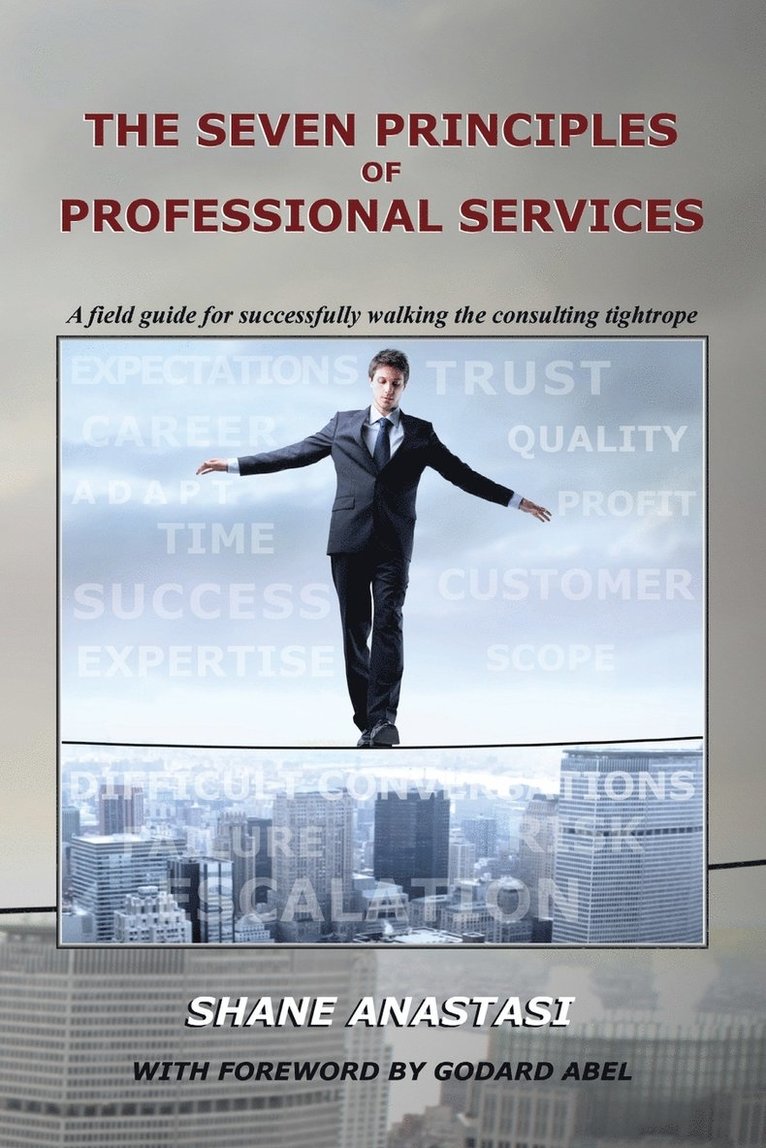 The Seven Principles of Professional Services 1