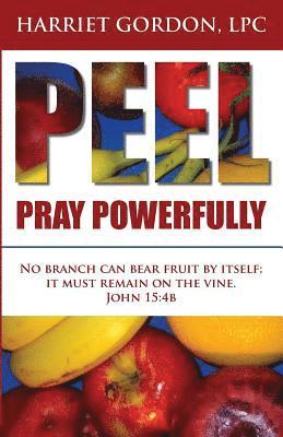 bokomslag Pray Powerfully