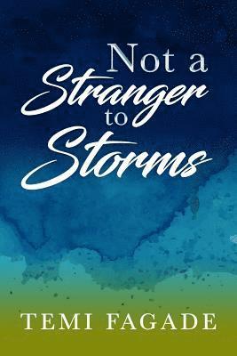 bokomslag Not A Stranger To Storms: An Inspirational Piece Based On True Life Experiences