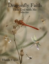 bokomslag Dragonfly Faith Book One