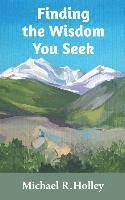 Cheryl Schmidt - Finding the Wisdom You Seek: Hidden where you will never look, Häftad