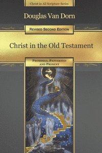 bokomslag Christ in the Old Testament: Promised, Patterned, and Present