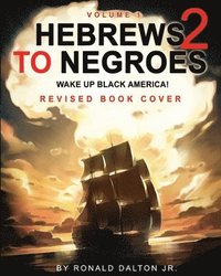 bokomslag Hebrews to Negroes 2