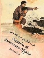 bokomslag Proverba të ilustruara Afgane: Afghan Proverbs Illustrated in Albanian and Dari Persian