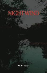 bokomslag Night Wind