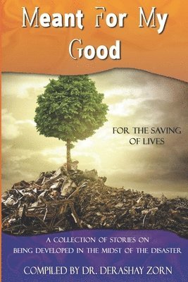 Meant For My Good: Being Developed in the Midst of the Disaster 1