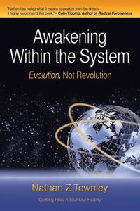 bokomslag Awakening Within the System