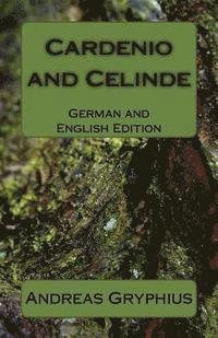 bokomslag Cardenio and Celinde: German and English Edition