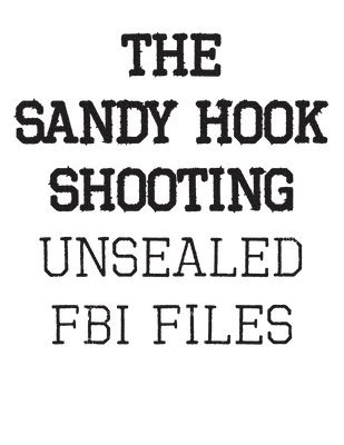 The Sandy Hook Shooting 1