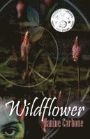 Wildflower