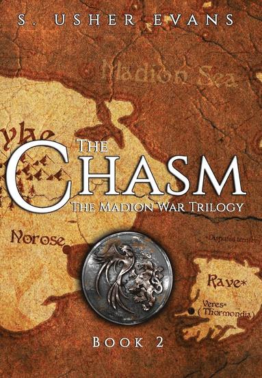 bokomslag The Chasm