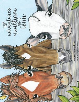 Kelsey Steller - The Adventures of Will & Tenn, Häftad