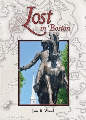 Lost in Boston 1