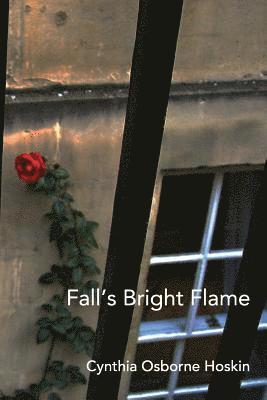 bokomslag Fall's Bright Flame: A Coming of (Middle) Age Tale