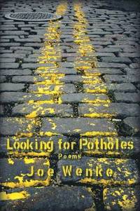bokomslag Looking for Potholes