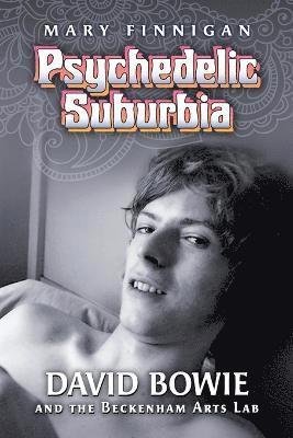 Psychedelic Suburbia