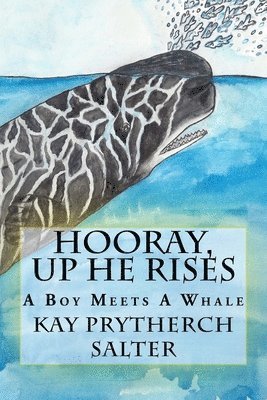 bokomslag Hooray, Up He Rises: A Boy Meets A Whale