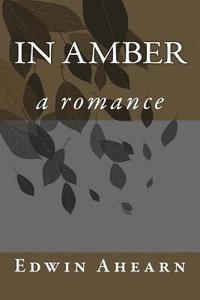 bokomslag In Amber: a romance