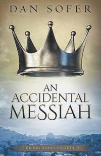 bokomslag Accidental Messiah