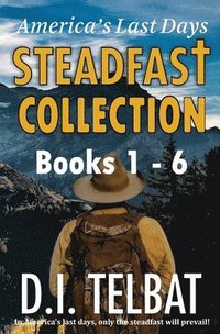 bokomslag Steadfast Collection