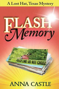 bokomslag Flash Memory