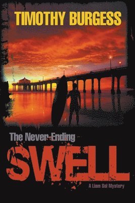 bokomslag Never-Ending Swell