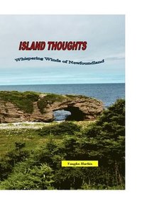 bokomslag Island Thoughts