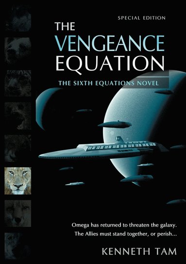 bokomslag The Vengeance Equation